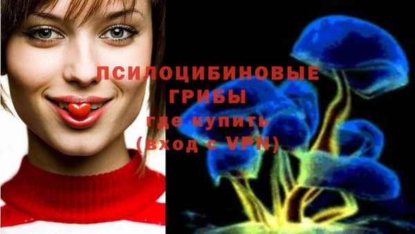 круглые Алзамай