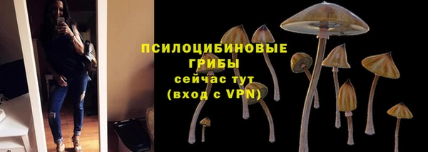 круглые Алзамай