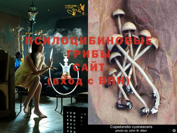 бошки Алексеевка