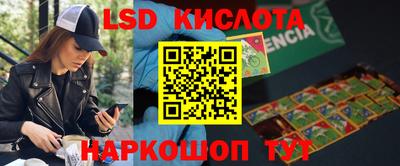 прущие крисы Абинск