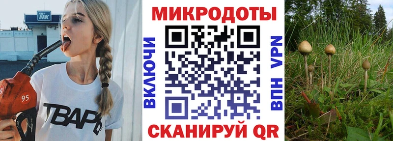 Псилоцибиновые грибы Psilocybe Алушта