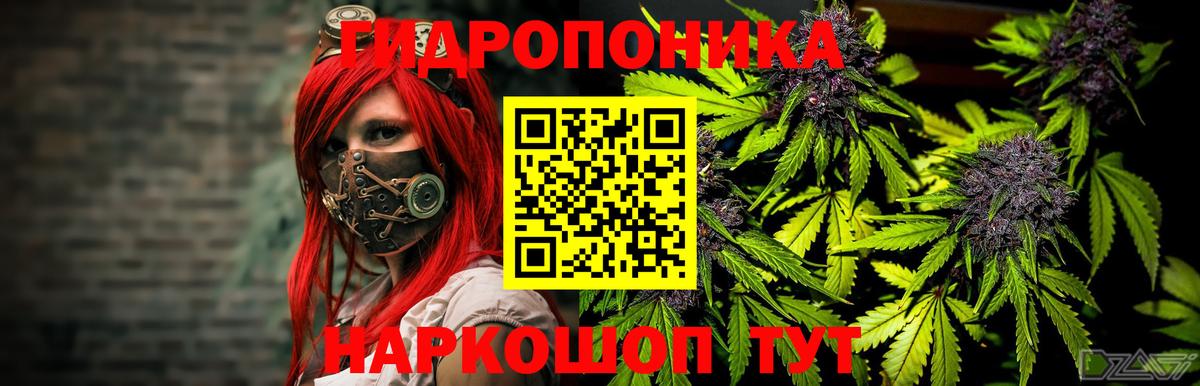 Канабис план  МАРИХУАНА Ganja  Бошки Шишки планчик  Алушта  Канабис план  Вход с VPN 